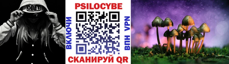Галлюциногенные грибы Psilocybine cubensis  hydra вход  Верхоянск 